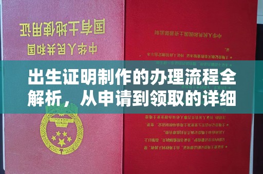 东西湖出生证明制作的办理流程全解析，从申请到领取的详细指南